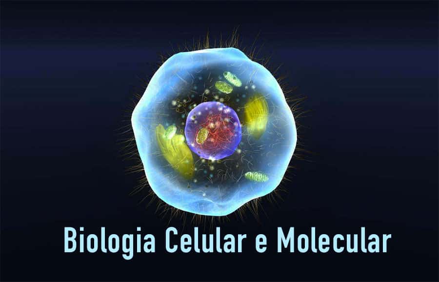 Biologia celular genética