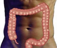 Síndrome do Intestino Irritável
