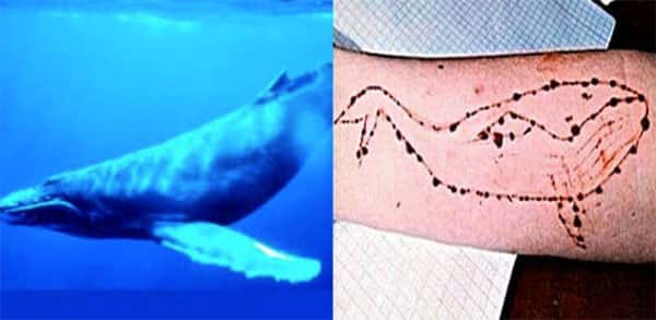 Baleia azul, cortes no braço