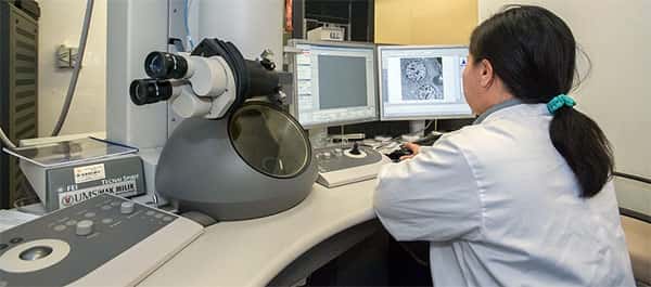 Cientista fazendo analise no microscópio