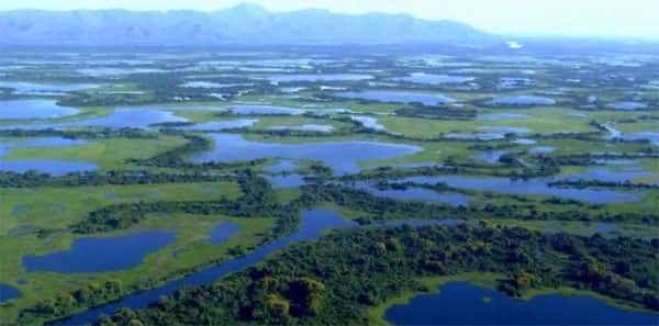 Pantanal, vista aerea