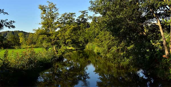 Rio e vegetação do Pantanal