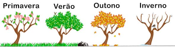 Estações do ano, primavera, verão, outono, inverno