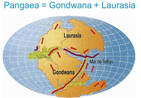 Pangeia, Laurásia e Gondwana