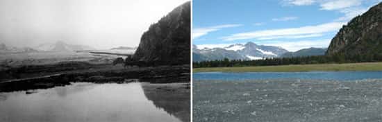 Glaciar dos Ursos, no Alasca