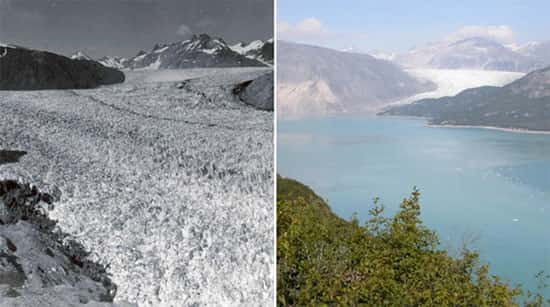 Glaciar Muir, no Alasca