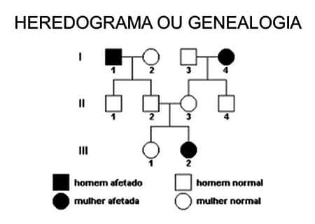 Heredograma ou Genealogia