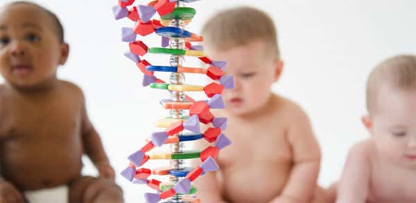 Bebês, Herança genética
